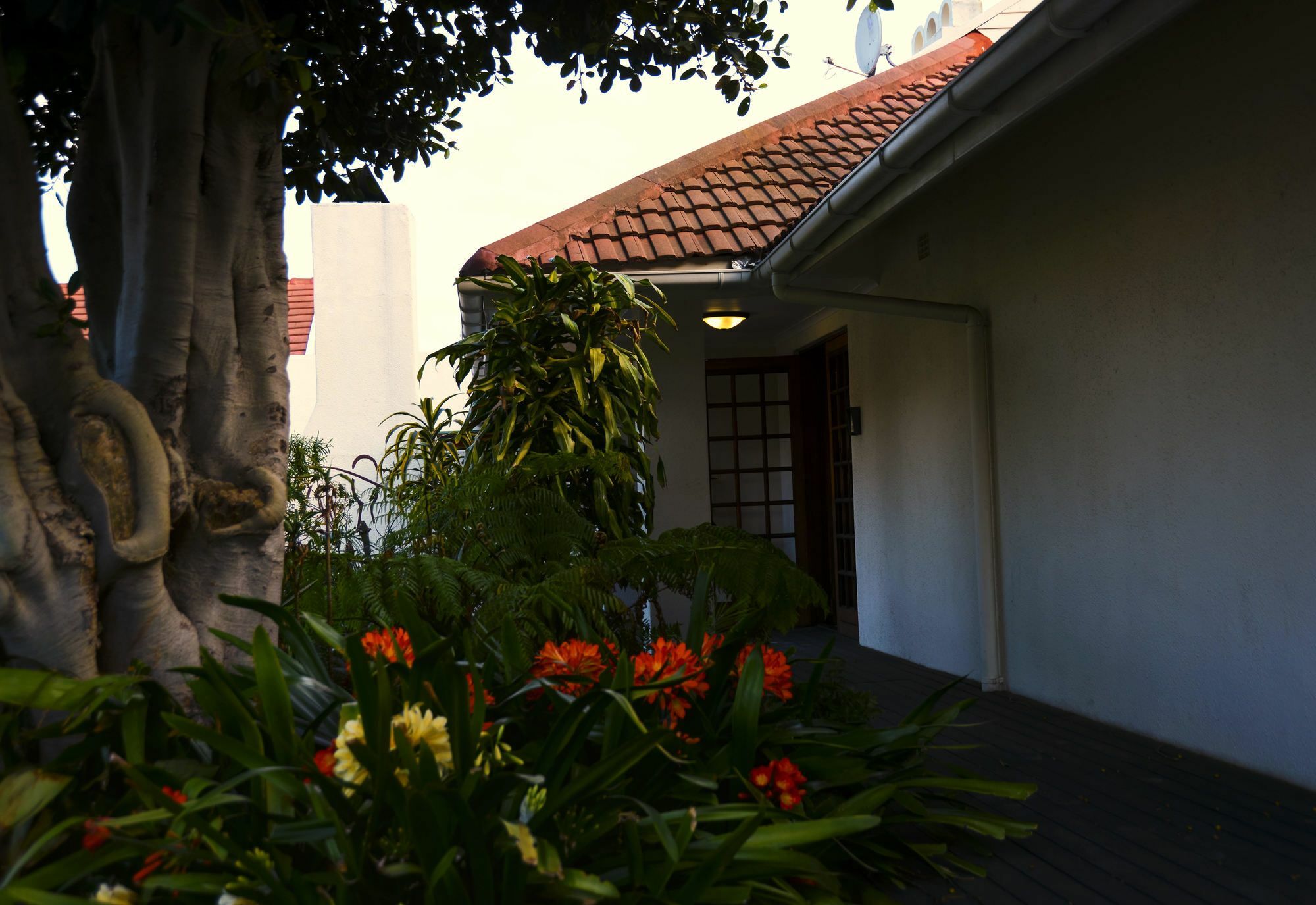 Dolliwarie Guesthouse Parow Εξωτερικό φωτογραφία